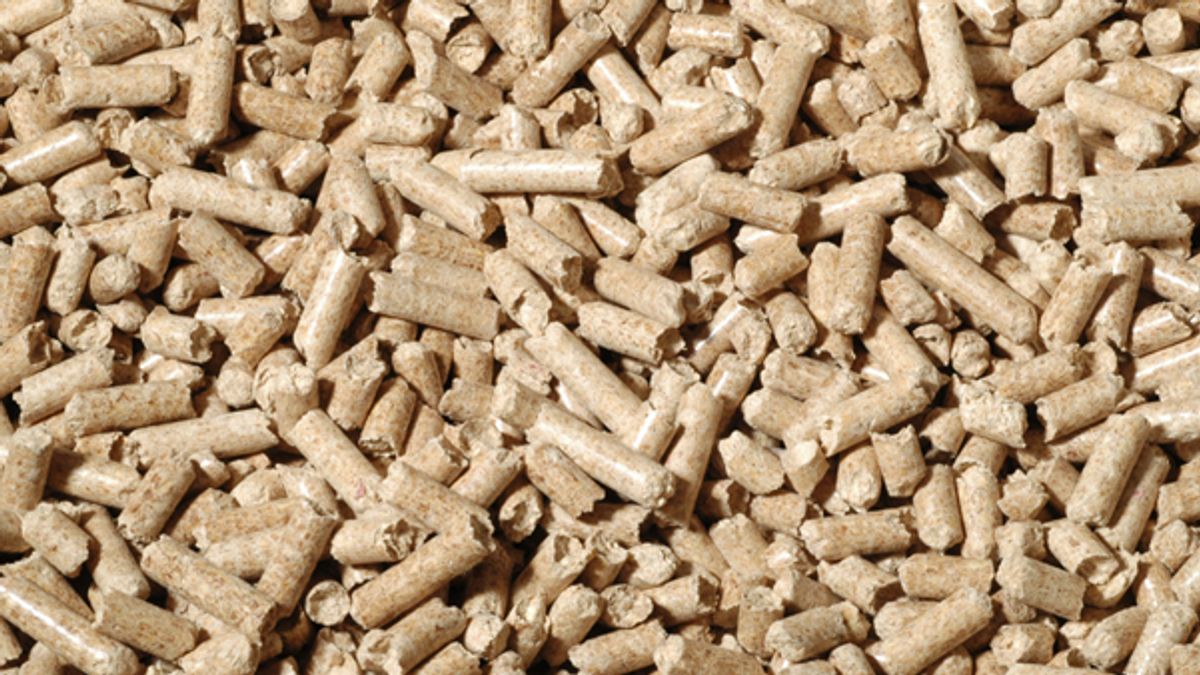 Wood Pellet