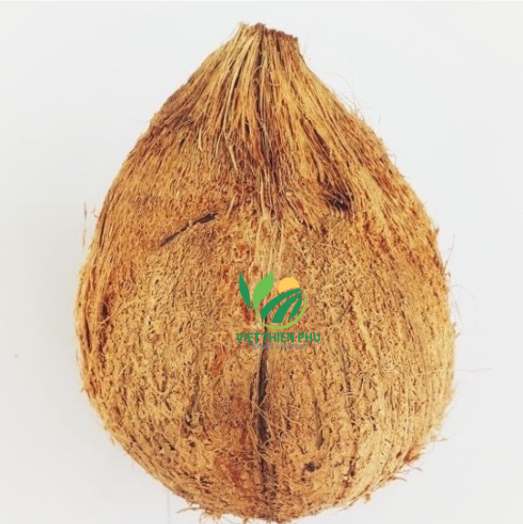 High Quality Semi Husked Coconut