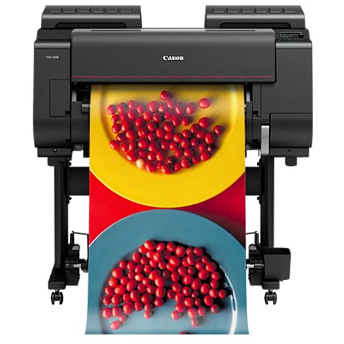 Canon imagePROGRAF Pro-2100 24" Professional Photographic Large-Format Inkjet Printer (MEGAHPRINTING)