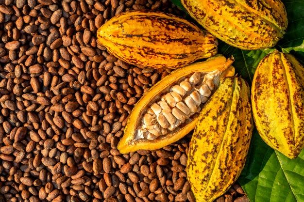Cocoa Beans