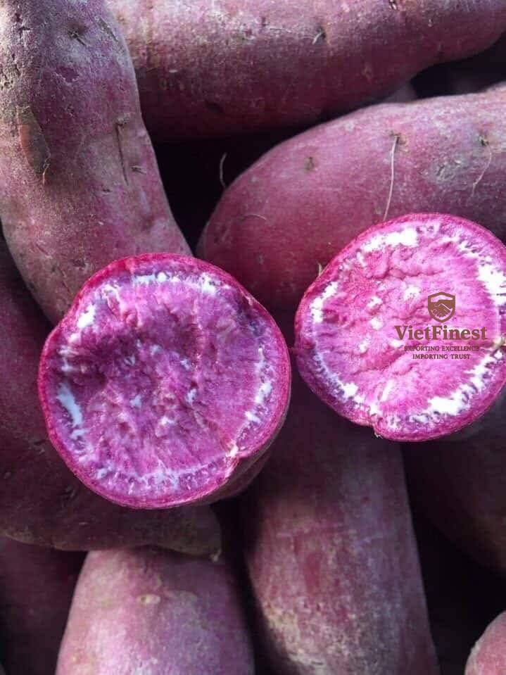 Purple sweet potatoes from Vietnam