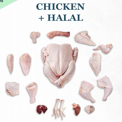 Frozen Chicken Paws – Grade A Export Quality