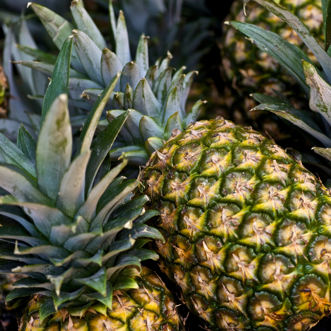 Pineapple