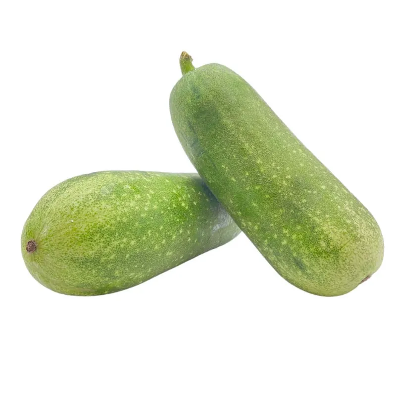 Fresh Winter Melon – Malaysia Wholesale Supplier