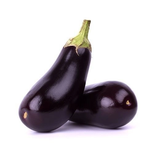 Fresh Short Eggplant – Malaysia Wholesale Supplier