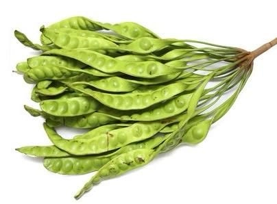 Fresh Stinky Bean (Petai) – Malaysia Wholesale Supplier