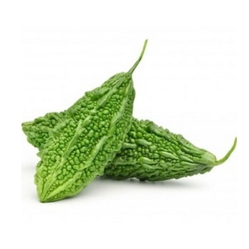 Fresh Small Bittergourd – Malaysia Wholesale Supplier