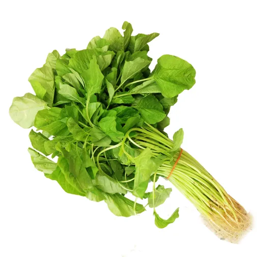 Round Green Spinach