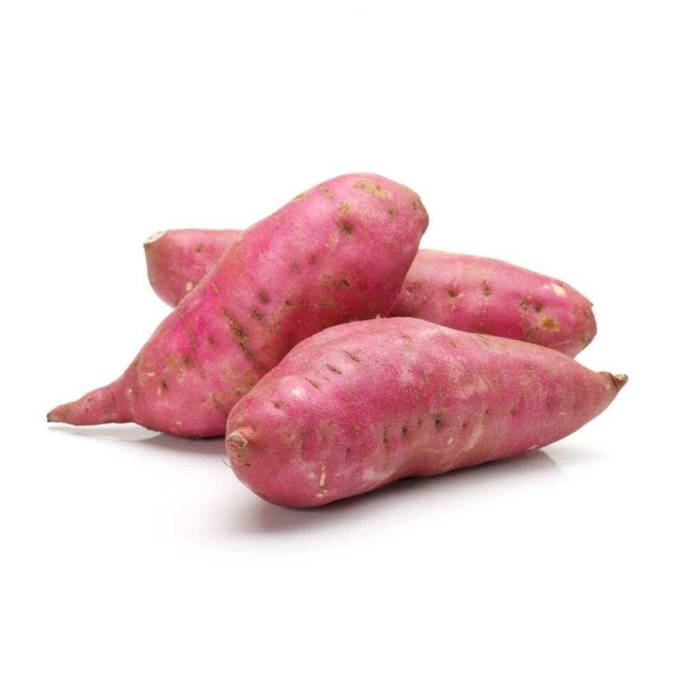 Japanese Sweet Potato