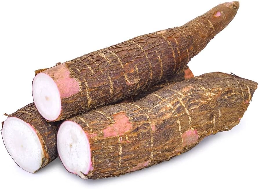 Cassava
