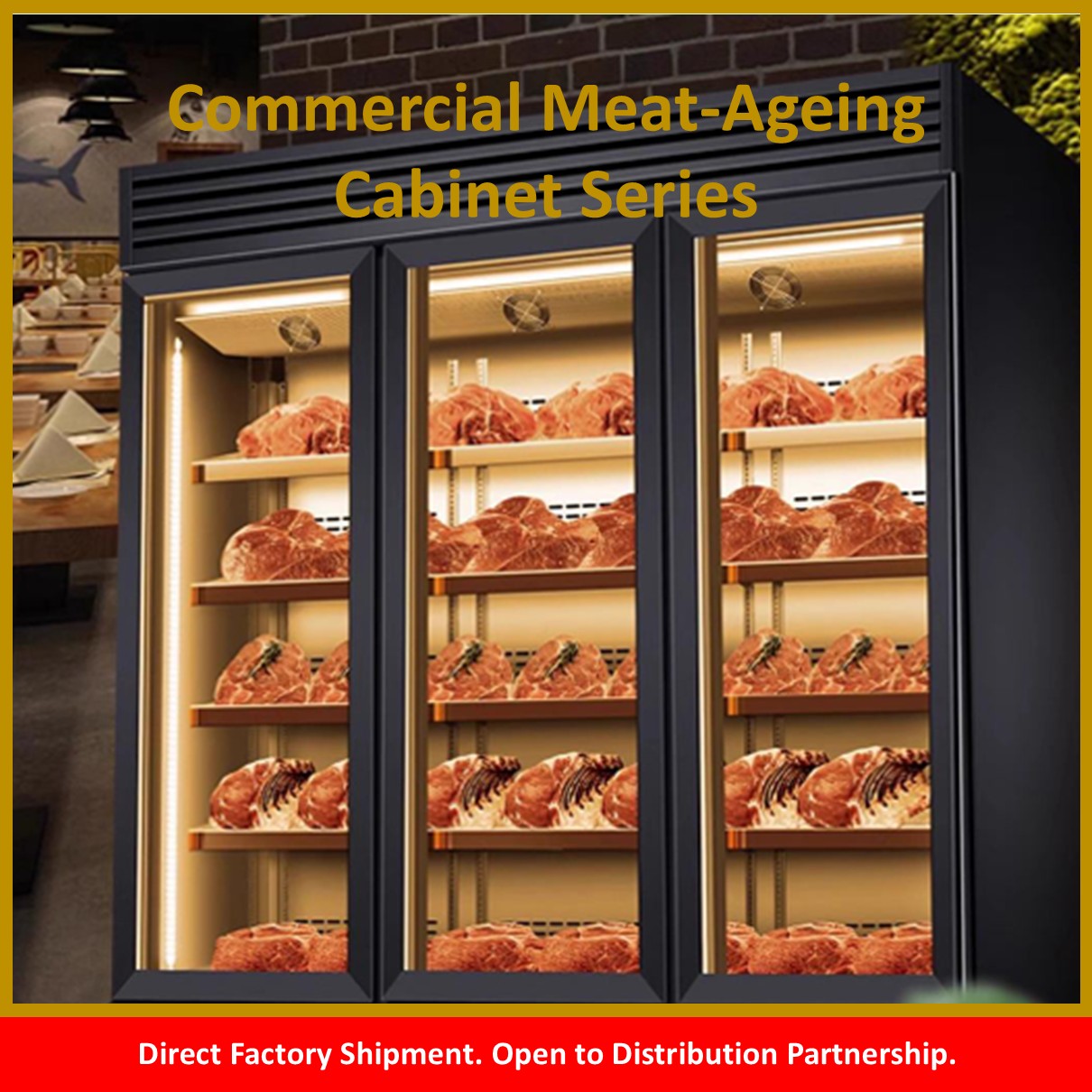 Commercial Meat-Ageing Cabinet Series