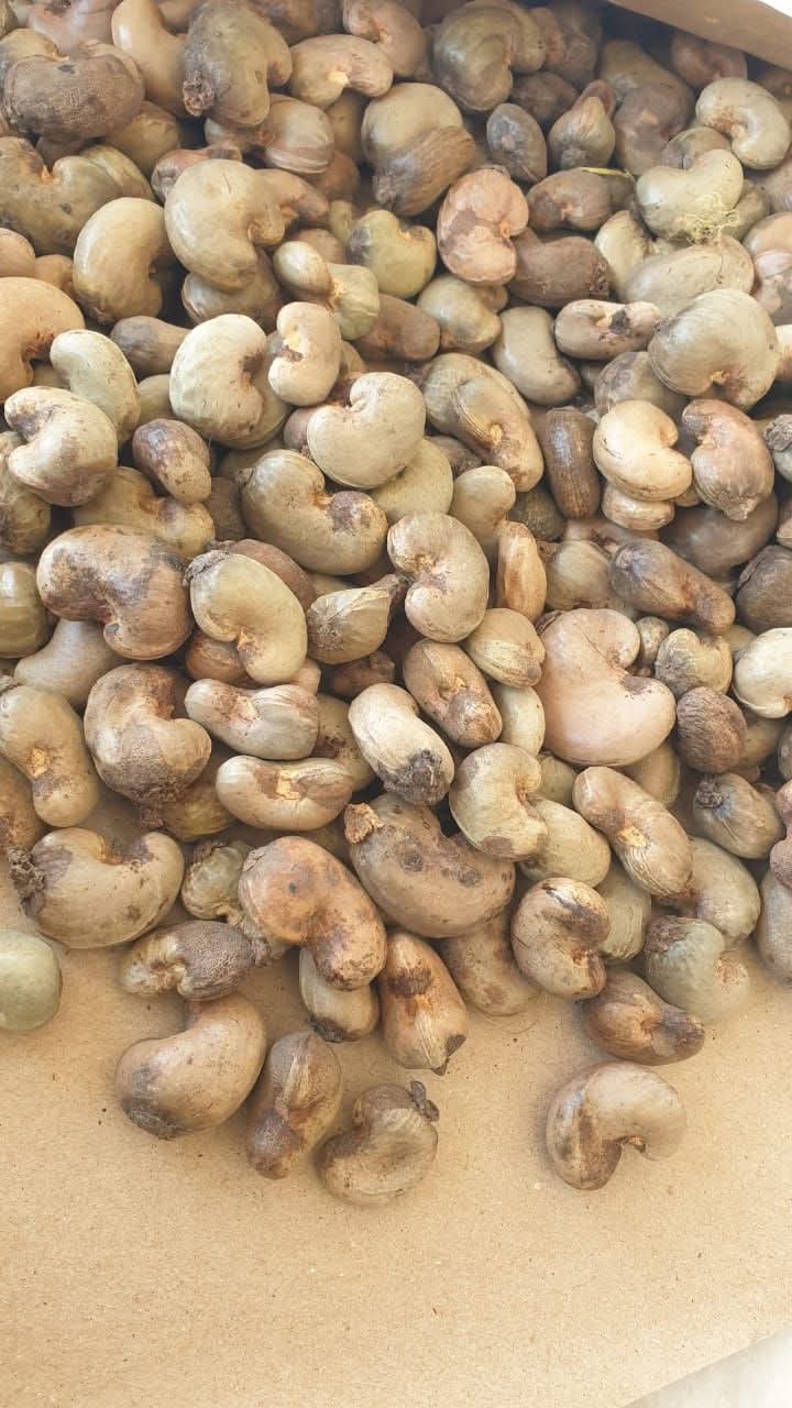 Raw Cashew Nuts