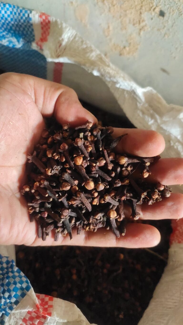 Cloves