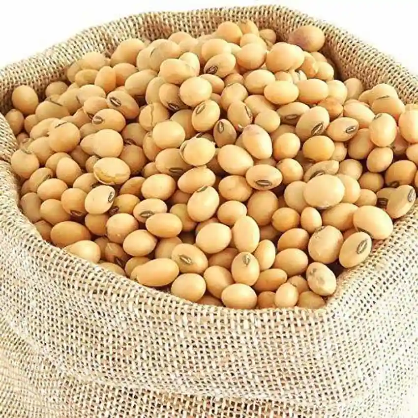 Soya beans