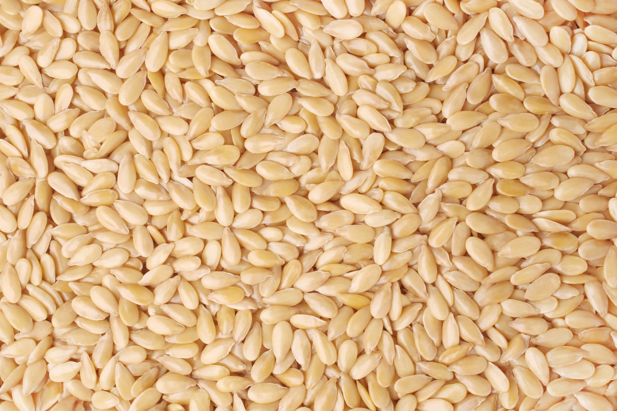 Sesame seed