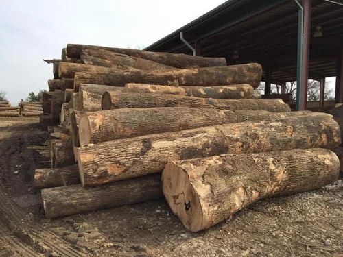 White Ash Logs