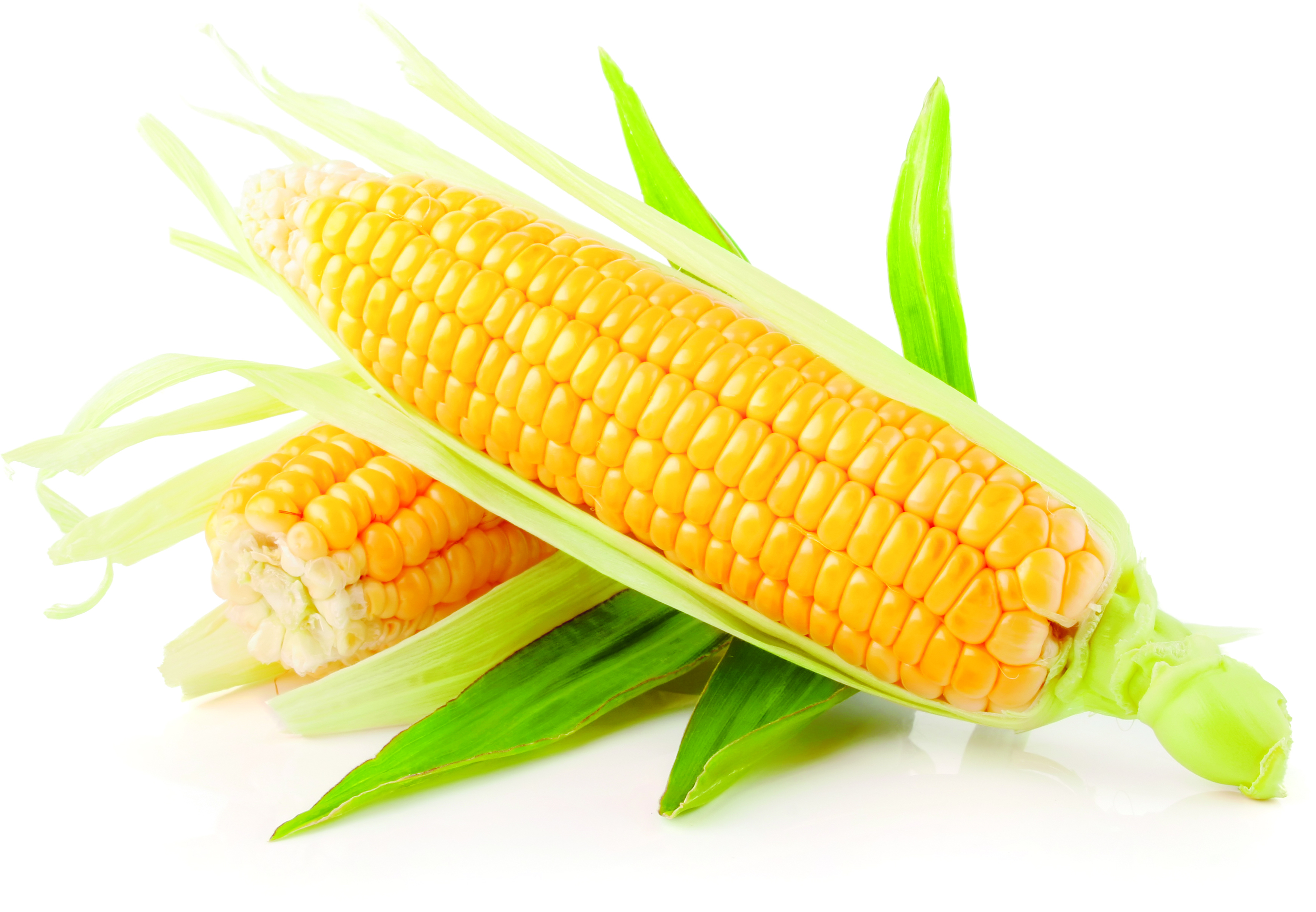 Maize