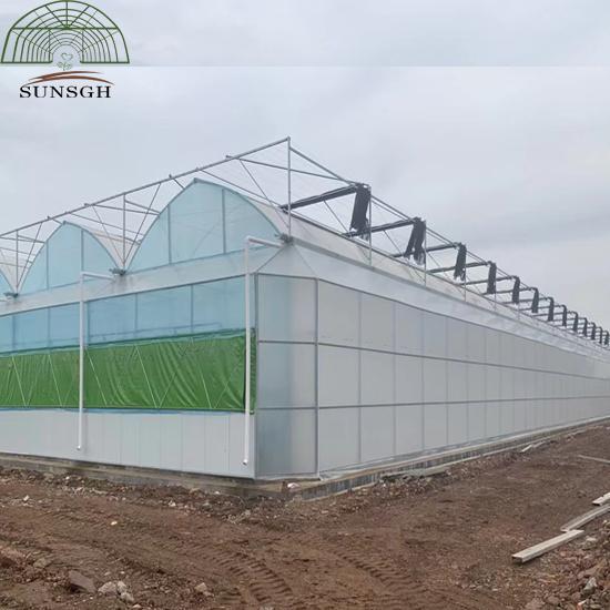 Cambodia Customer Agricultural Greenhouses for Sale