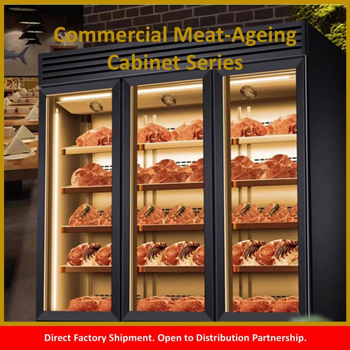 Commercial Meat-Ageing Cabinet Series