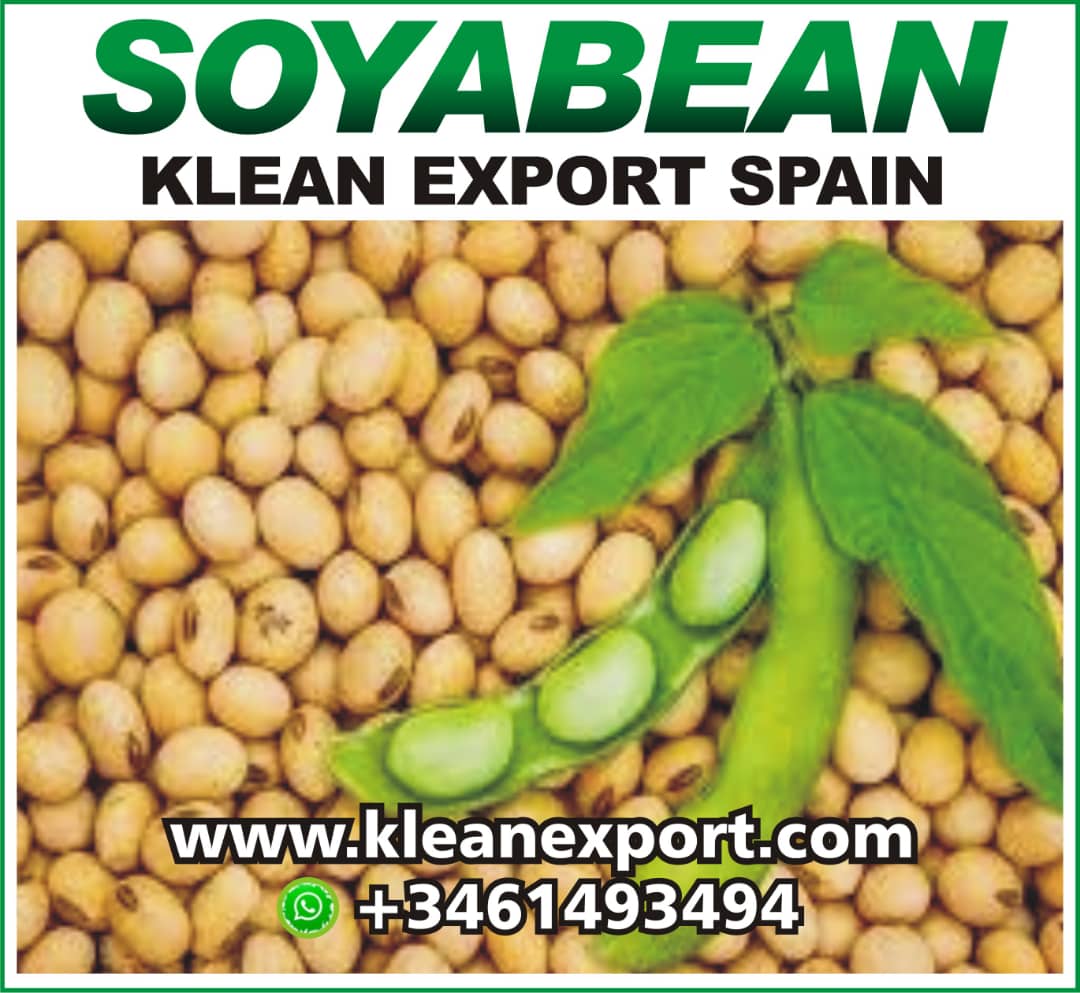 SOYBEAN