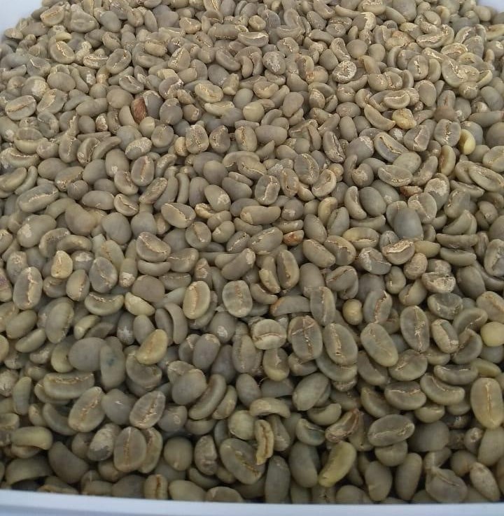 SUMATERA ARABICA COFFEE BEAN