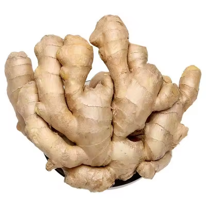 Premium Fresh Ginger Root – Export Quality Bulk Supply for Food Processing, Spice & Herbal Use