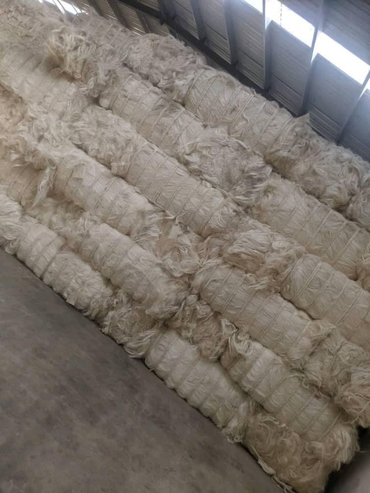natural sisal fiber