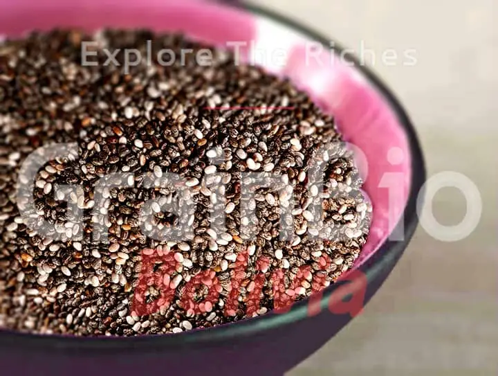 Chia Seeds