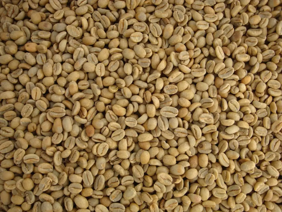 Ethiopia Arabica Djimmah Coffee Beans