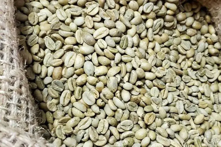 Ethiopia Arabica Lekempti Coffee Beans
