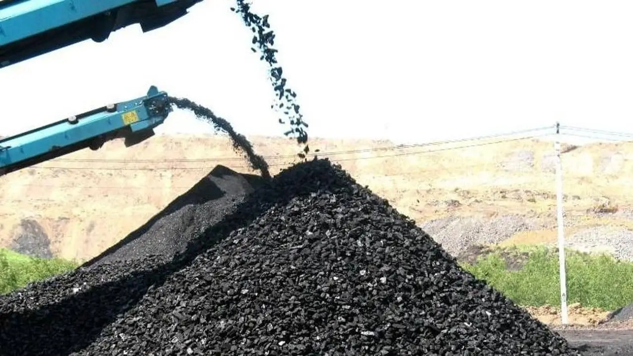 Steam coal